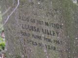 image of grave number 795345
